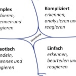 Entscheidungen treffen mit Cynefin